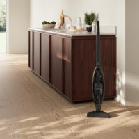 Пилосос ручний для дому Electrolux ES31CB18GG