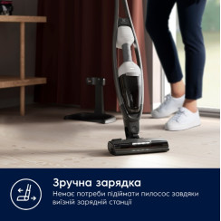Пилосос ручний для дому Electrolux ES62HB25UV